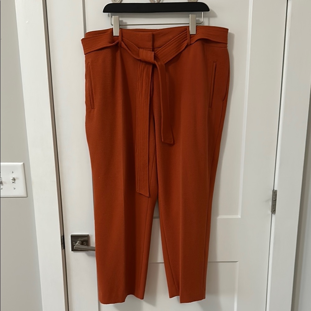 Bar III Burnt Orange Crepe Pants with Tie Waist